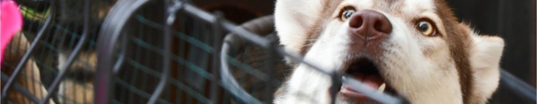 Marronnier Communication Août 2026